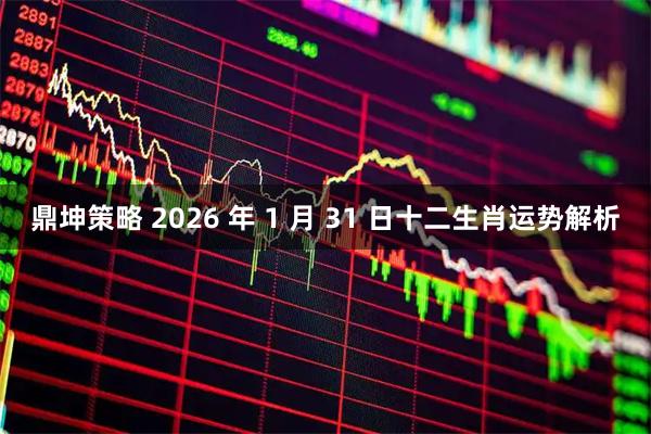 鼎坤策略 2026 年 1 月 31 日十二生肖运势解析