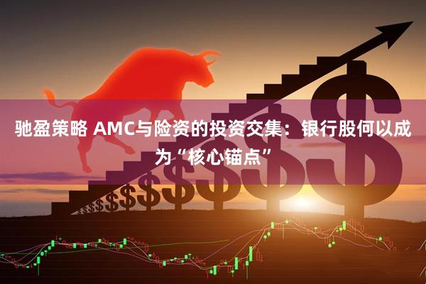 驰盈策略 AMC与险资的投资交集：银行股何以成为“核心锚点”